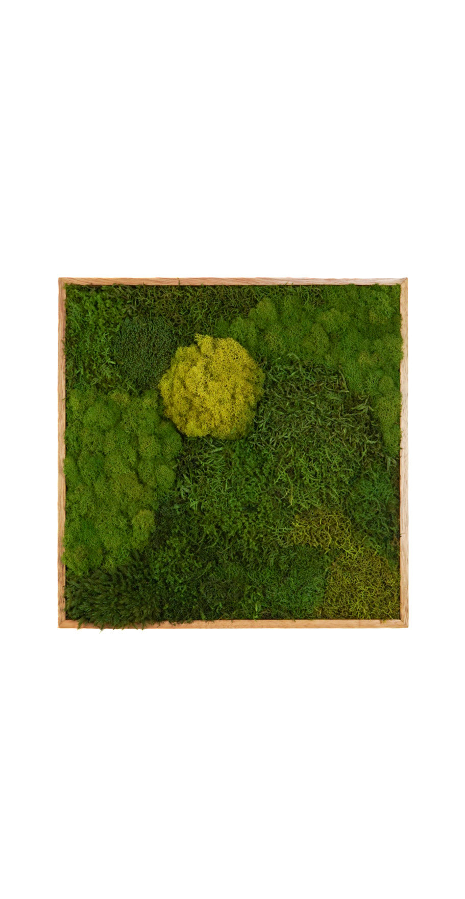 Quadro 50 x 50 Natural III