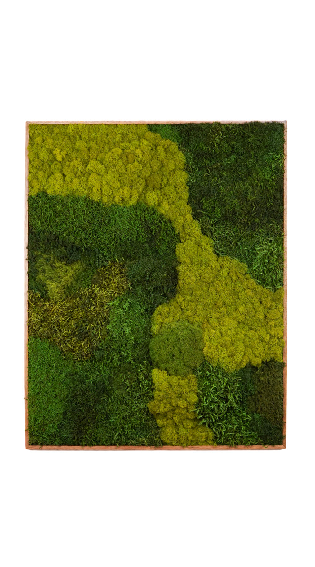 Quadro 80 x 100 Natural II