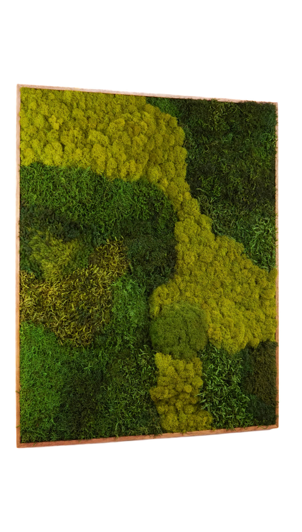 Quadro 80 x 100 Natural II