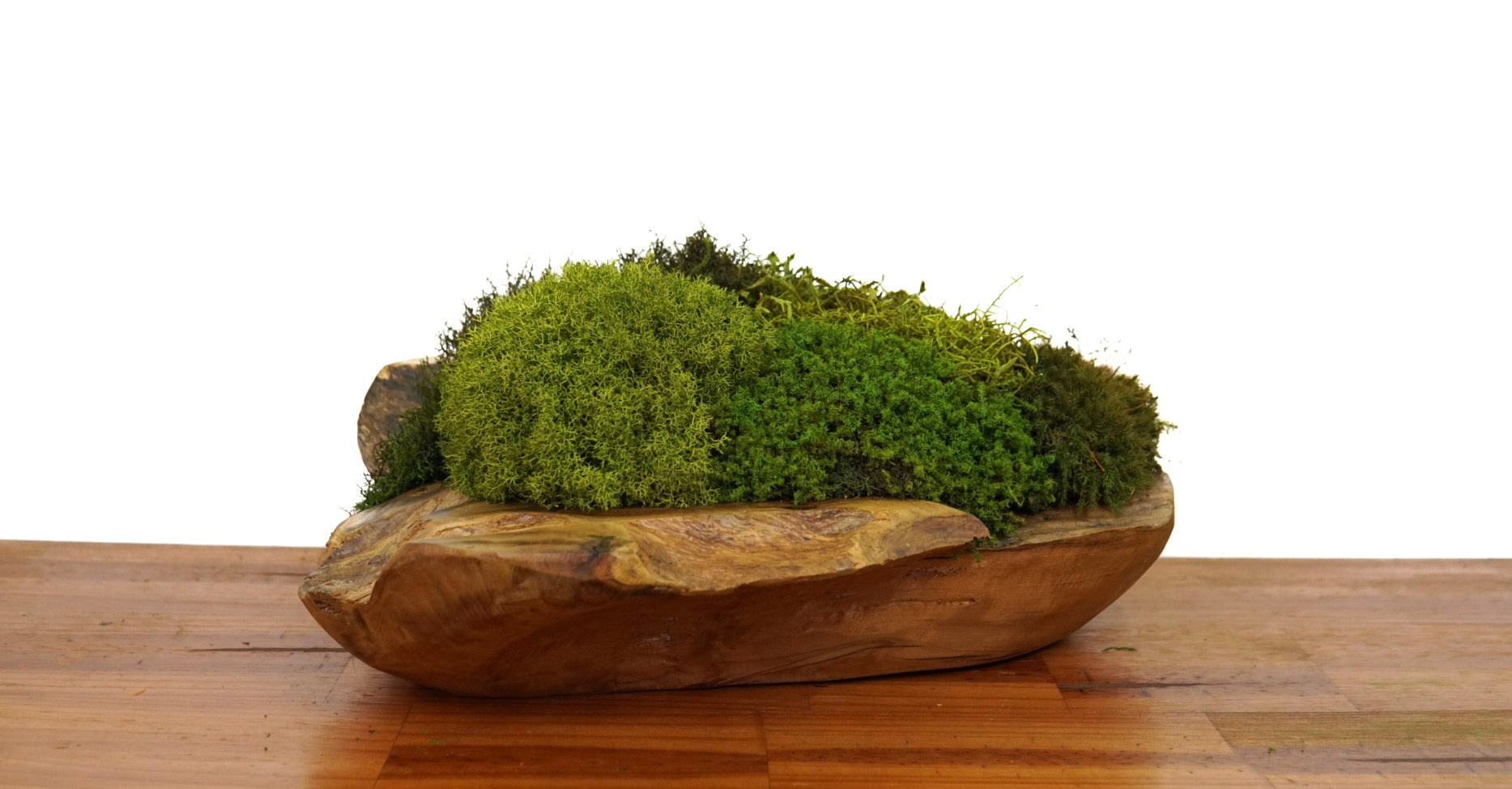 Root Teak Grand II