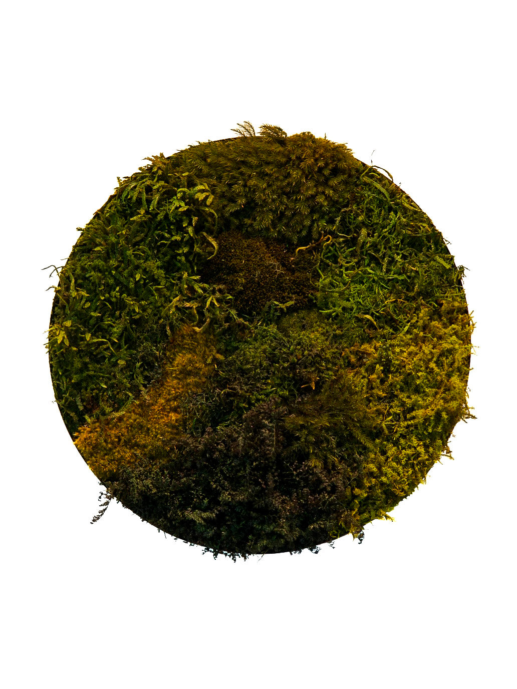 Quadro 35cm cobre (círculo)