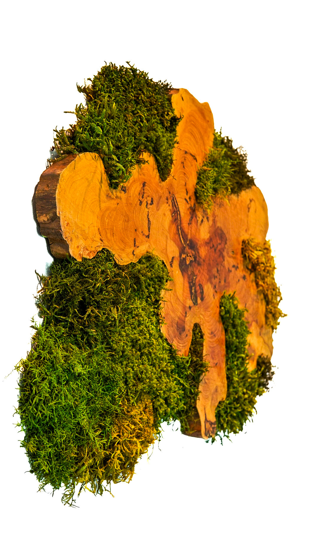 Rootform 72
