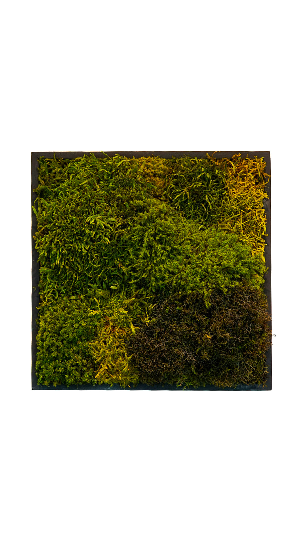 Quadro 30 x 30 Preto II