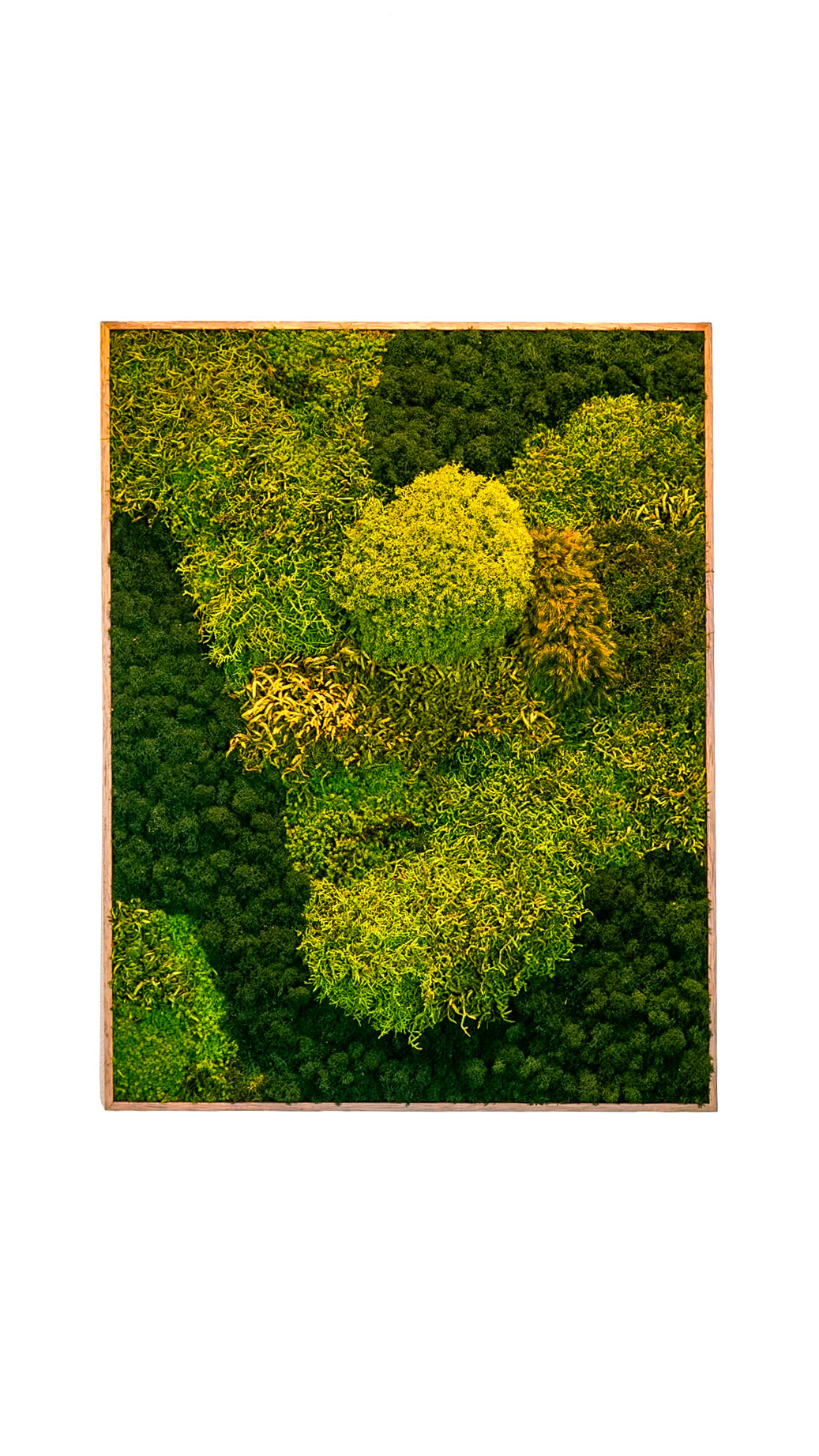 Quadro 90 x 70 Natural