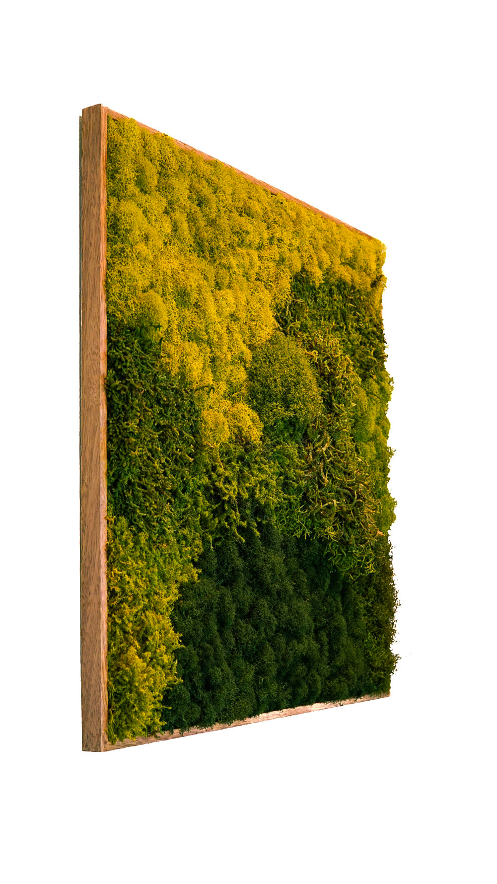 Quadro 60 x 60 Natural I
