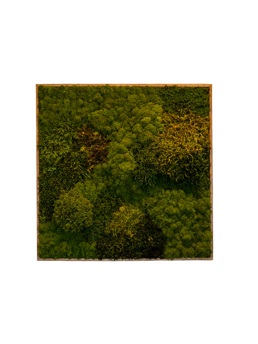 Quadro 60 x 60 Natural II