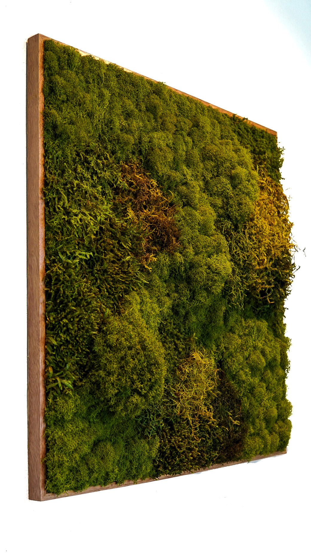 Quadro 60 x 60 Natural II
