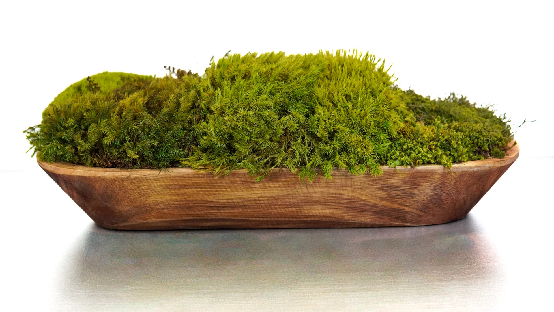 Woodland Canoe II