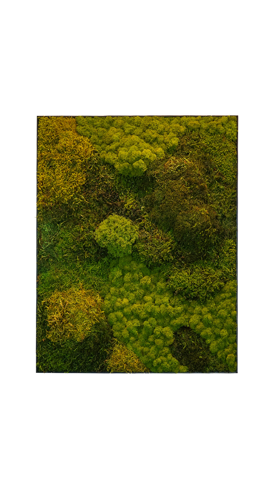 Quadro 90 x 70 preto (NOVO)