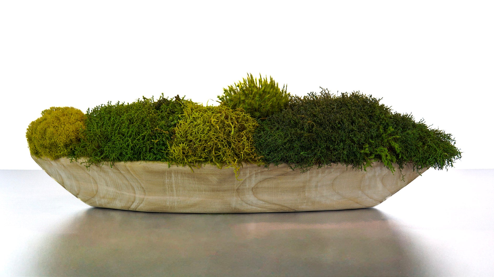 Woodland Canoe III