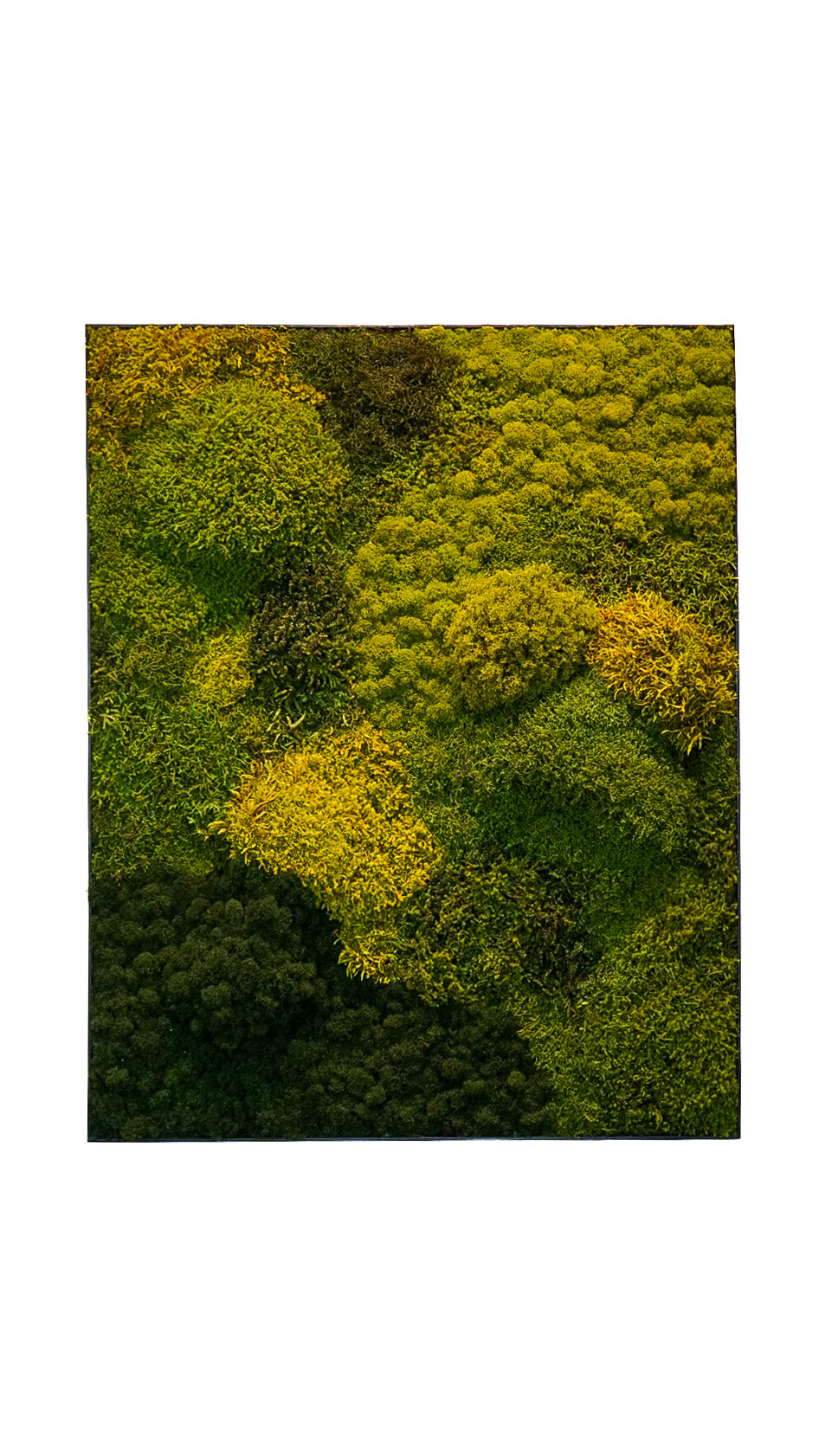 Quadro 80 x 100 moldura preta