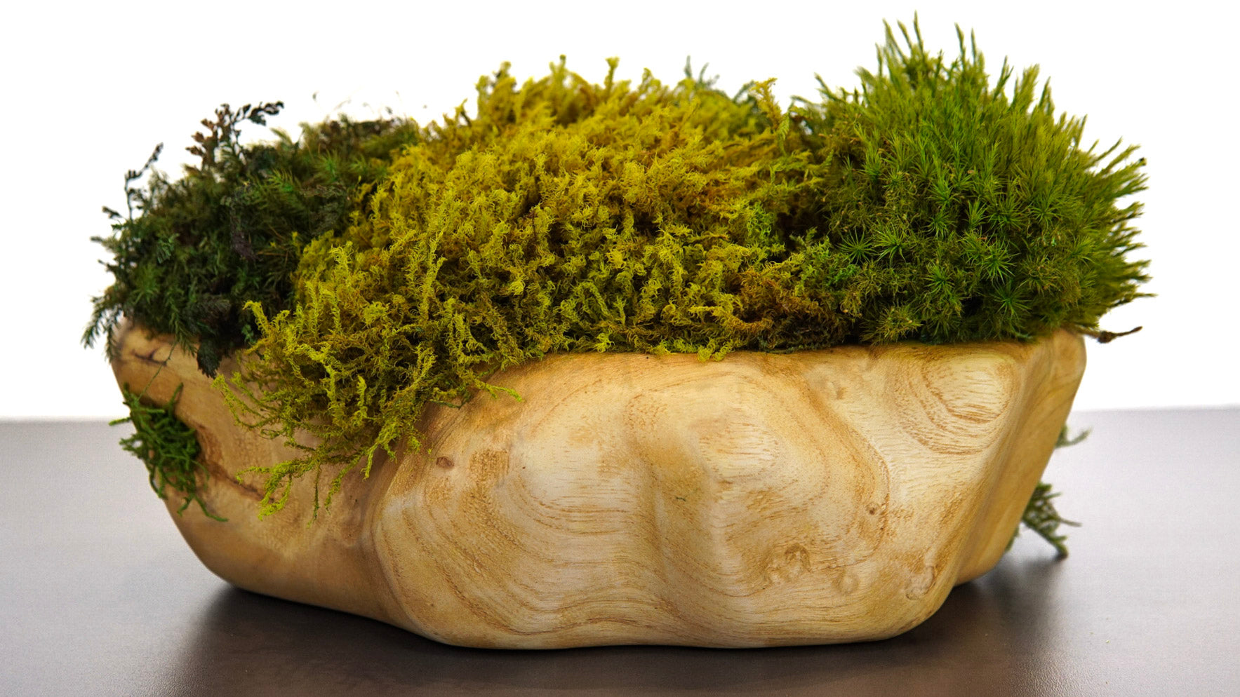 Spalt Wood I