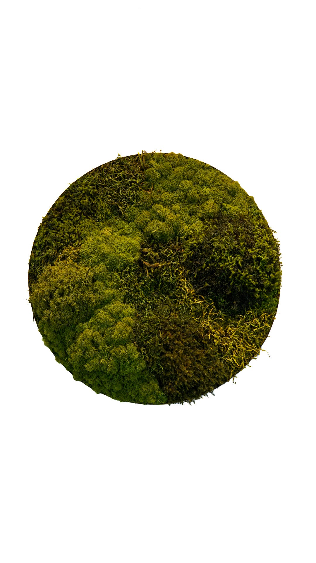 Quadro 52cm dourado (círculo)