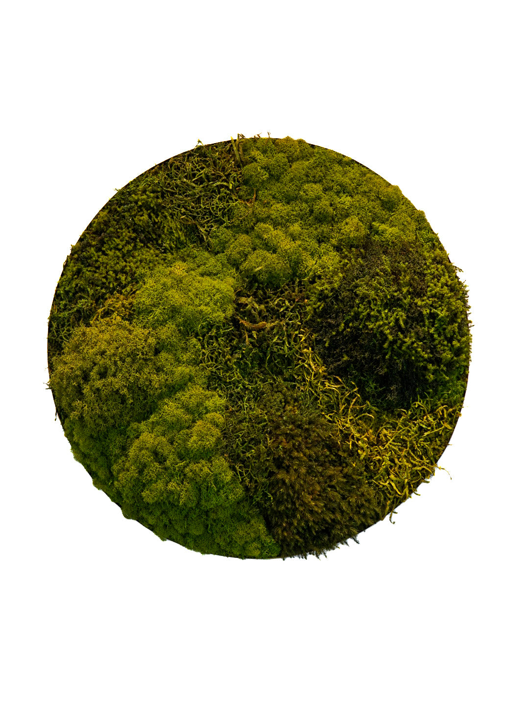Quadro 52cm dourado (círculo)