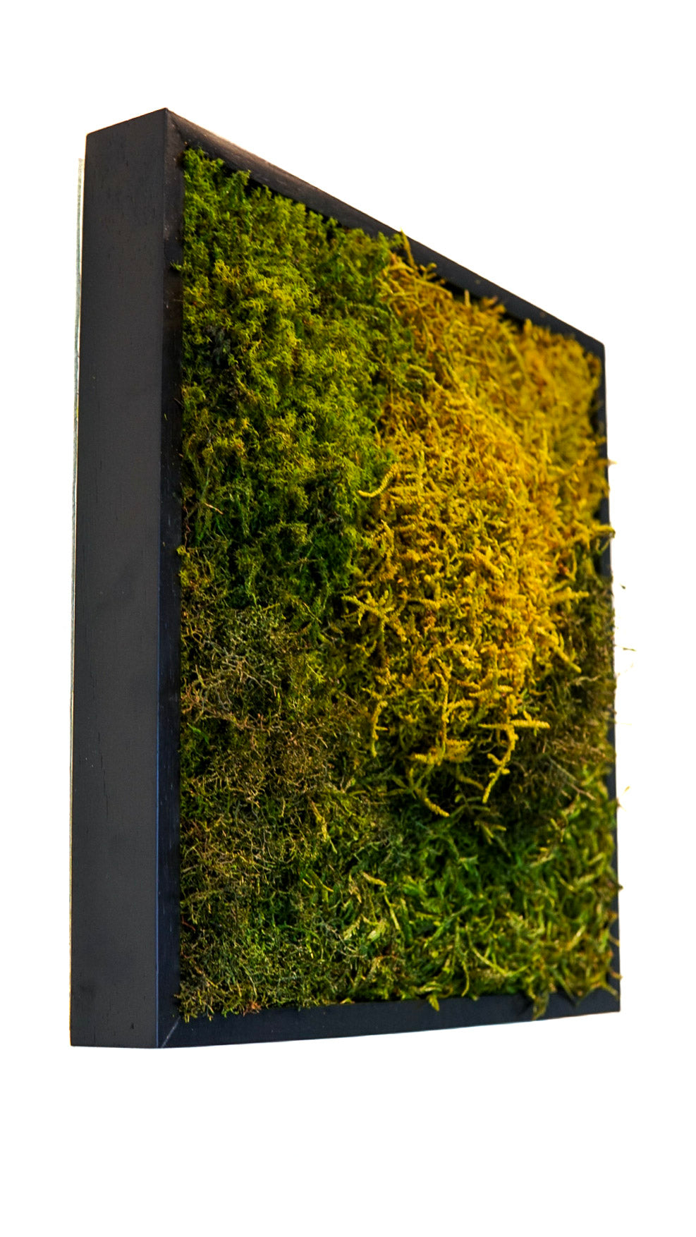 Quadro 30 x 30 Preto IV