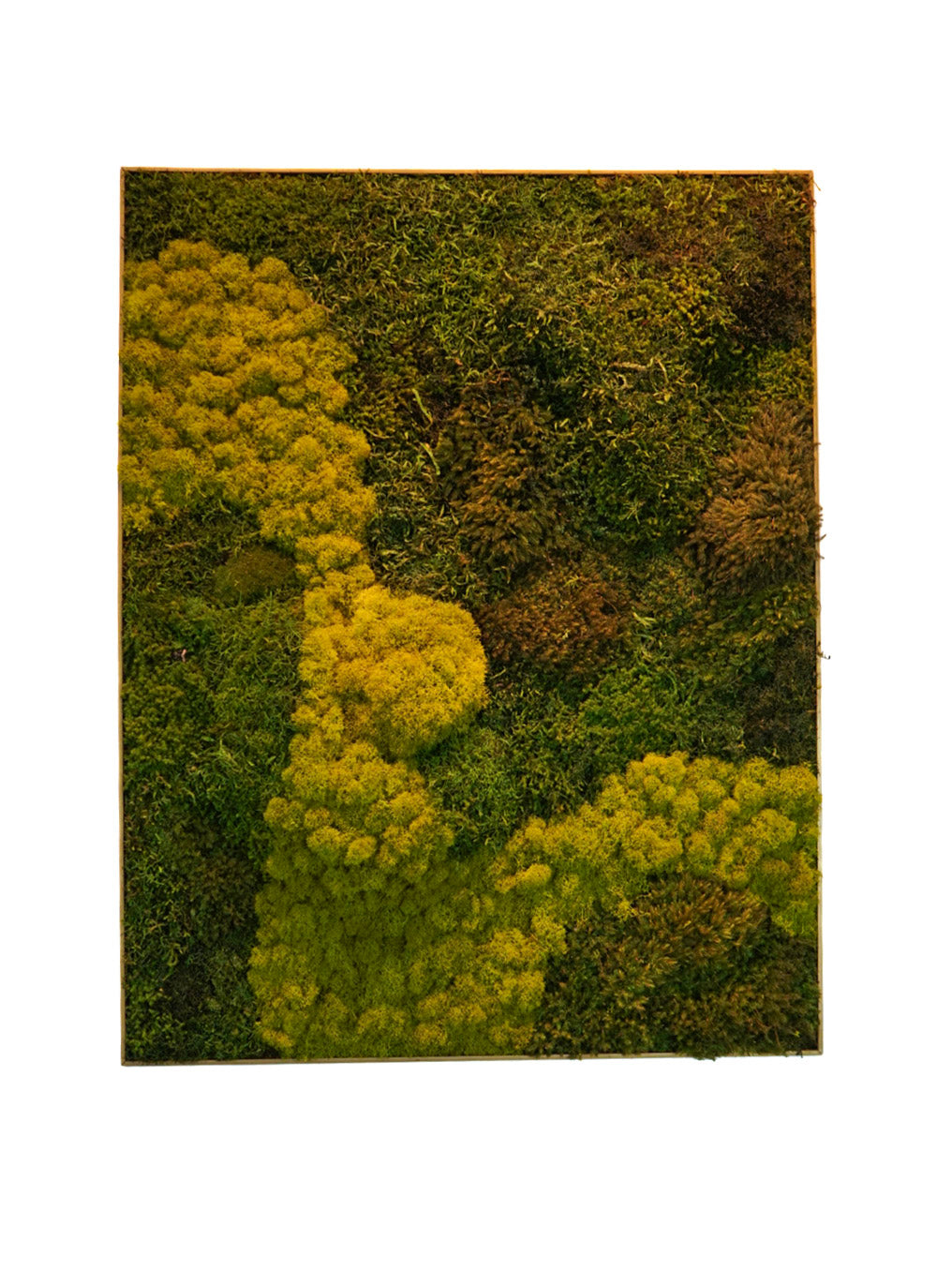 Quadro 90 x 70 DOURADO IV