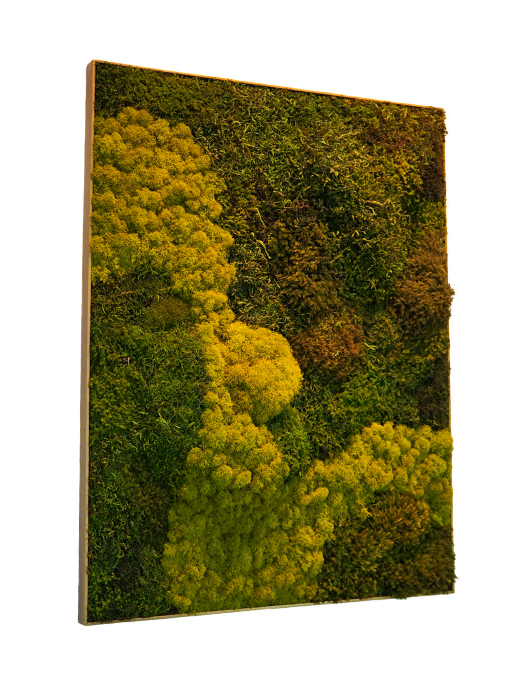 Quadro 90 x 70 DOURADO IV