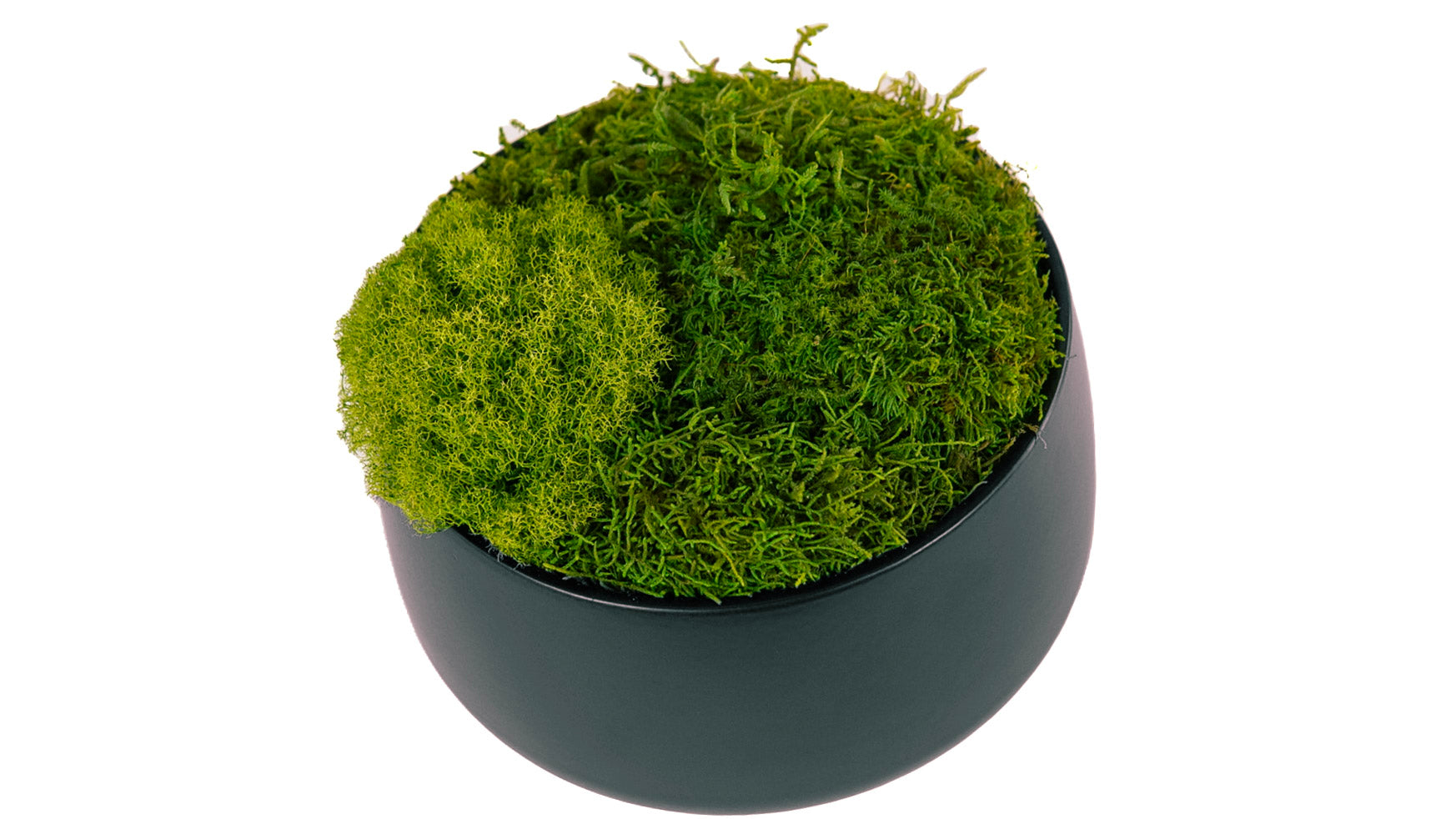 Moss Bowl Obsidian II