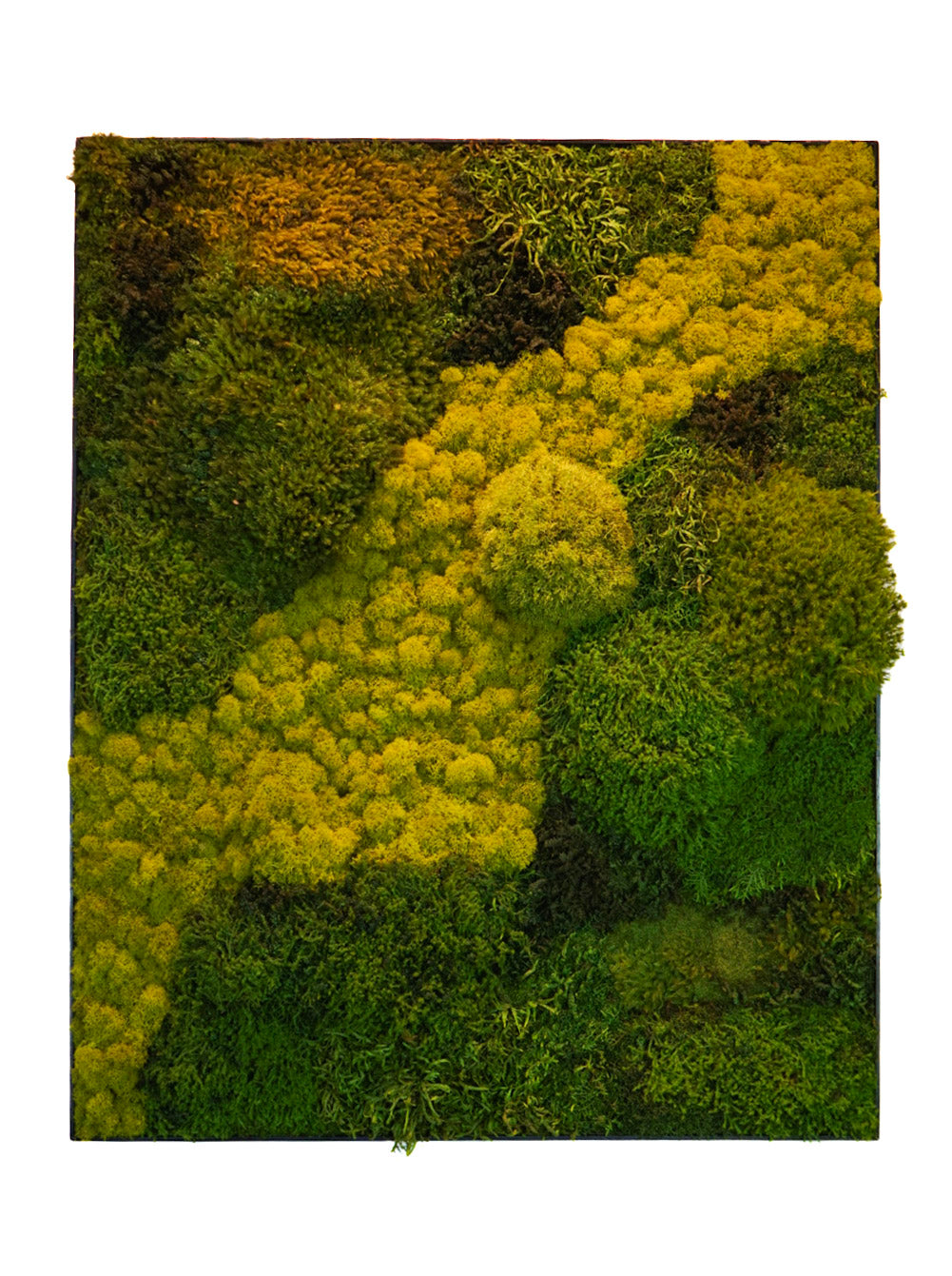 Quadro 80x100 preto II