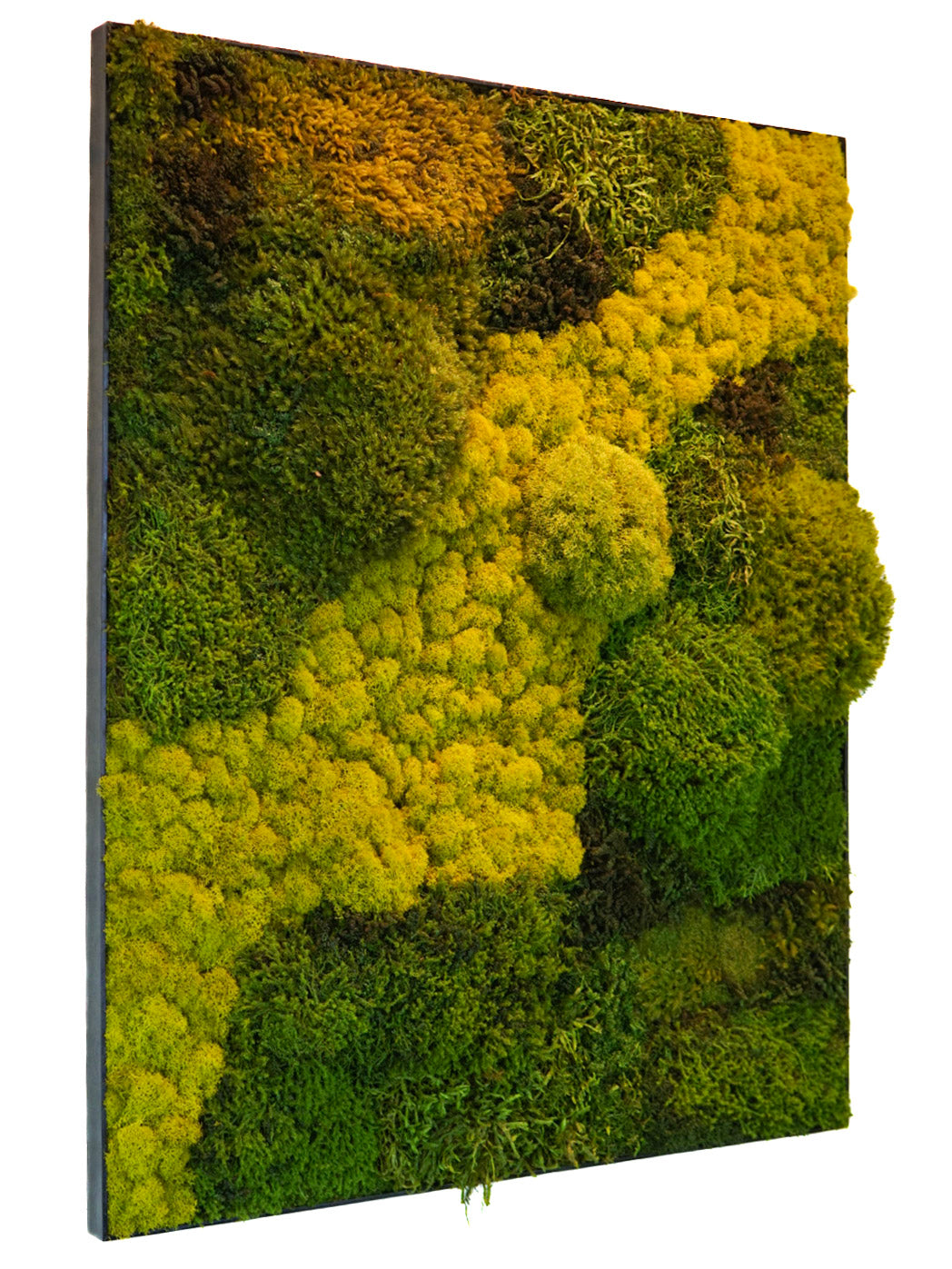 Quadro 80x100 preto II