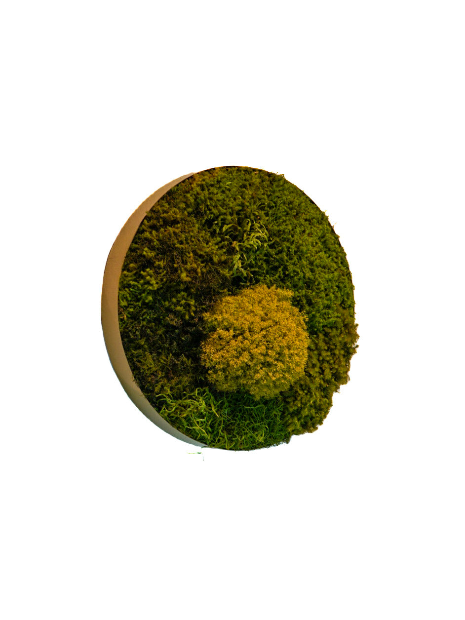 Quadro 35cm dourado (círculo)