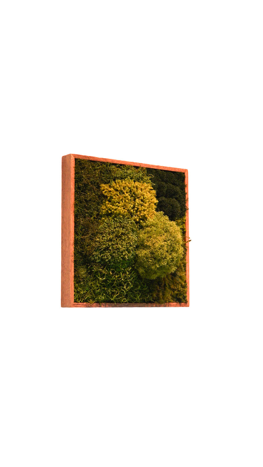 Quadro 30 x 30 Natural II