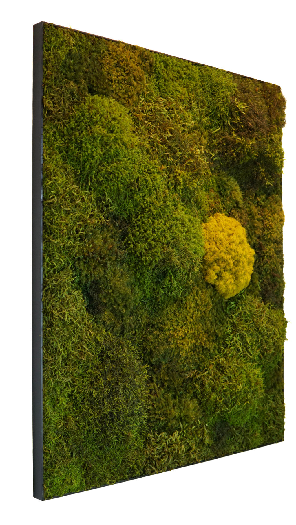 Quadro 80x100 preto III