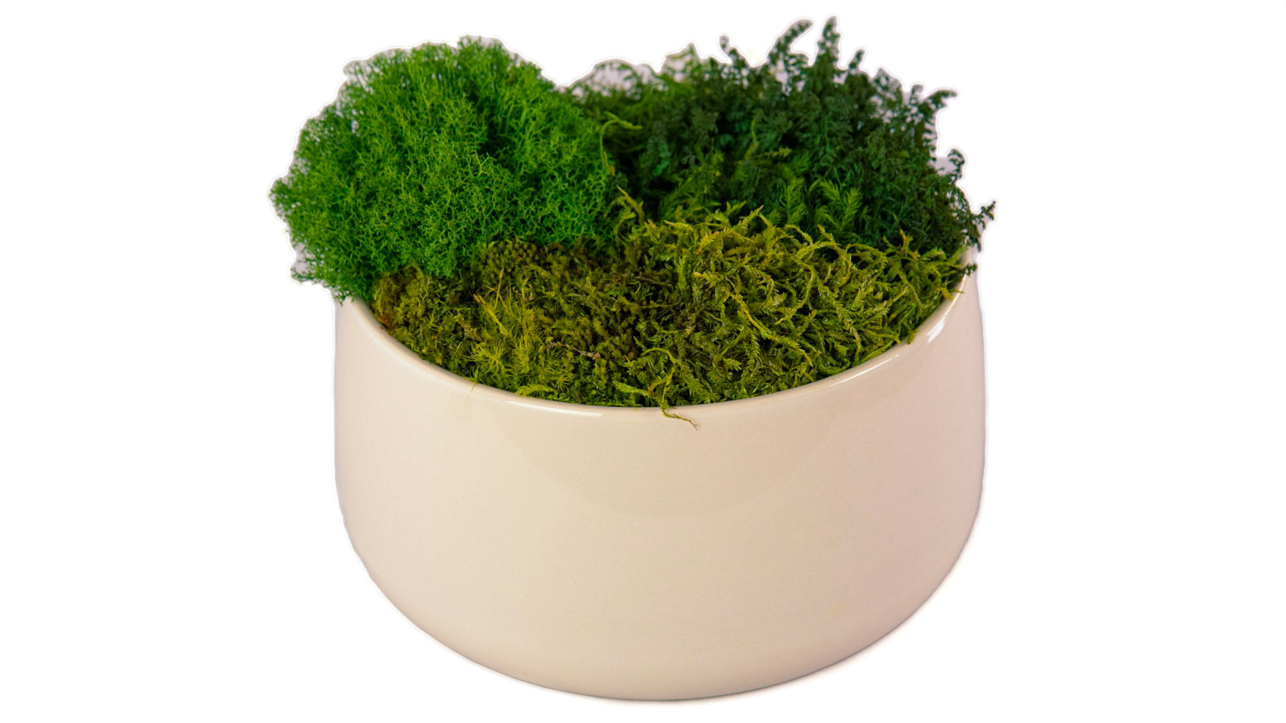 Ivory Moss Bowl II