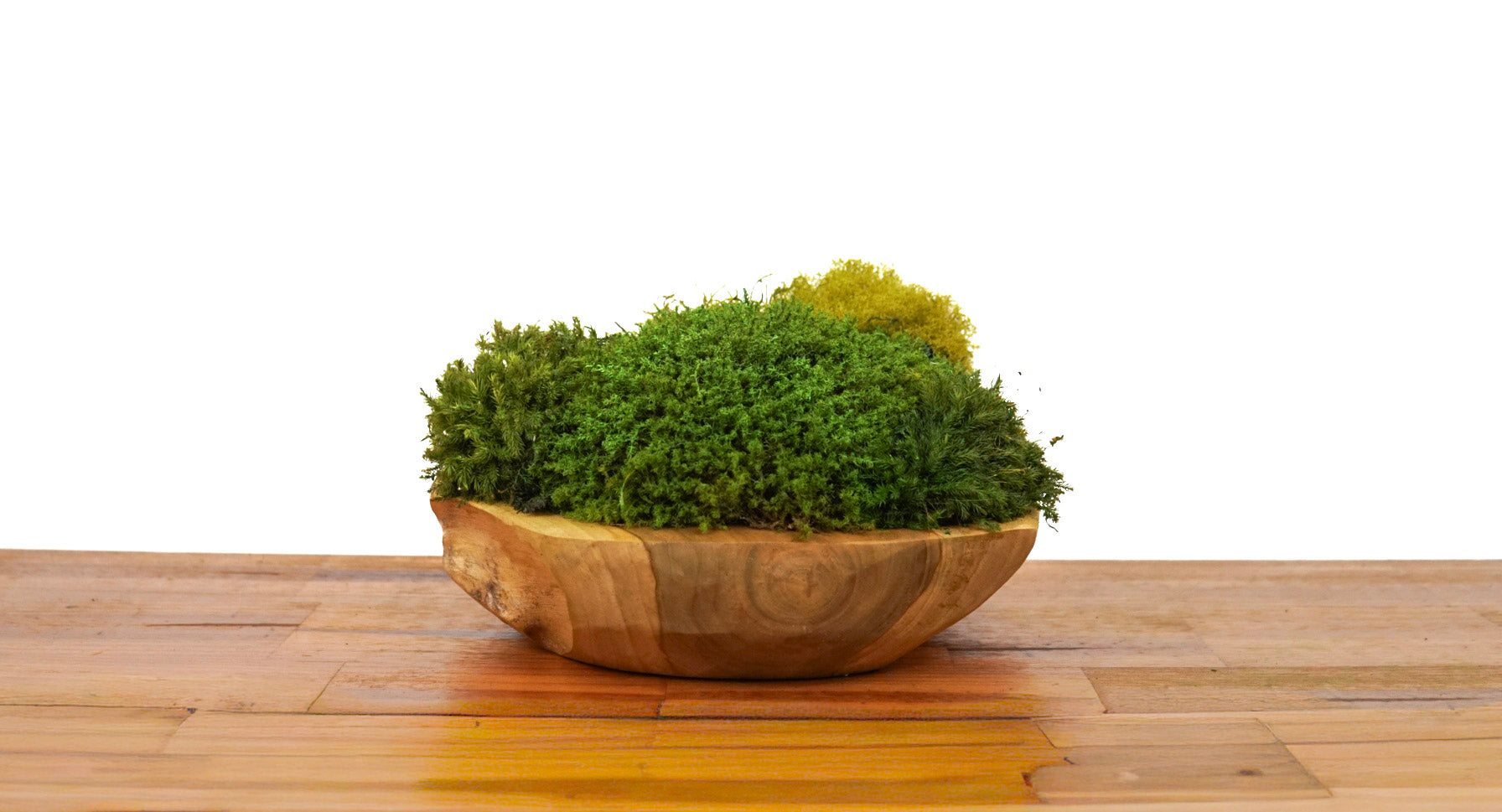 Root Teak II