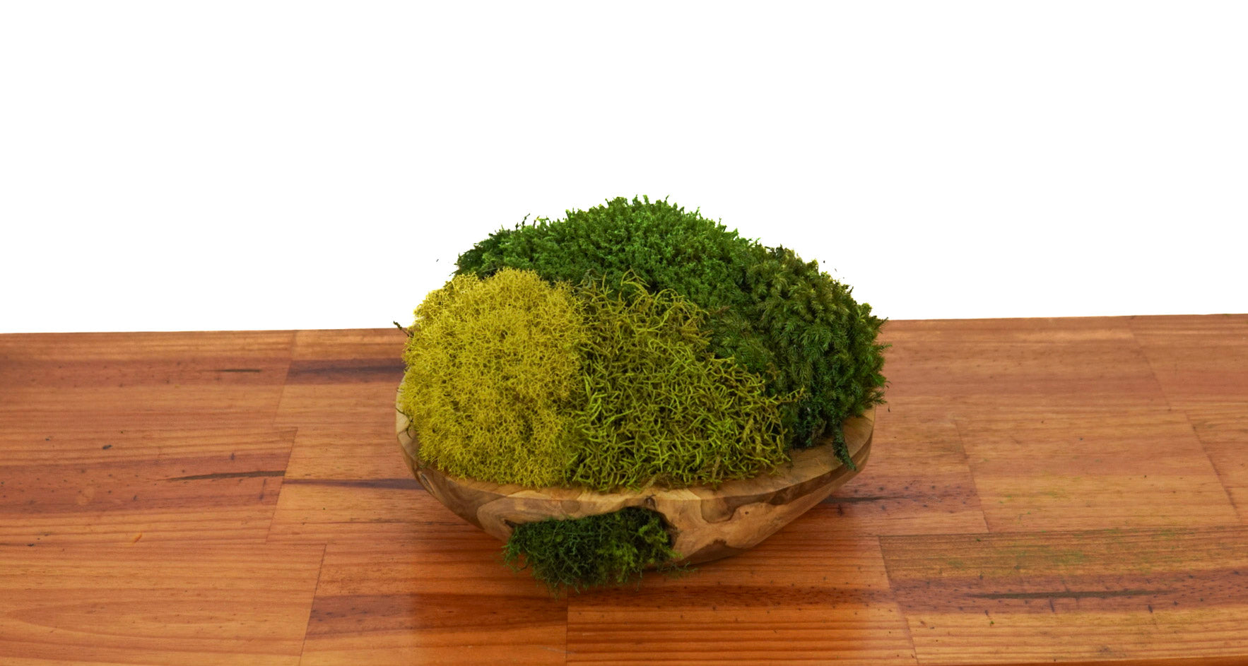 Root Teak II