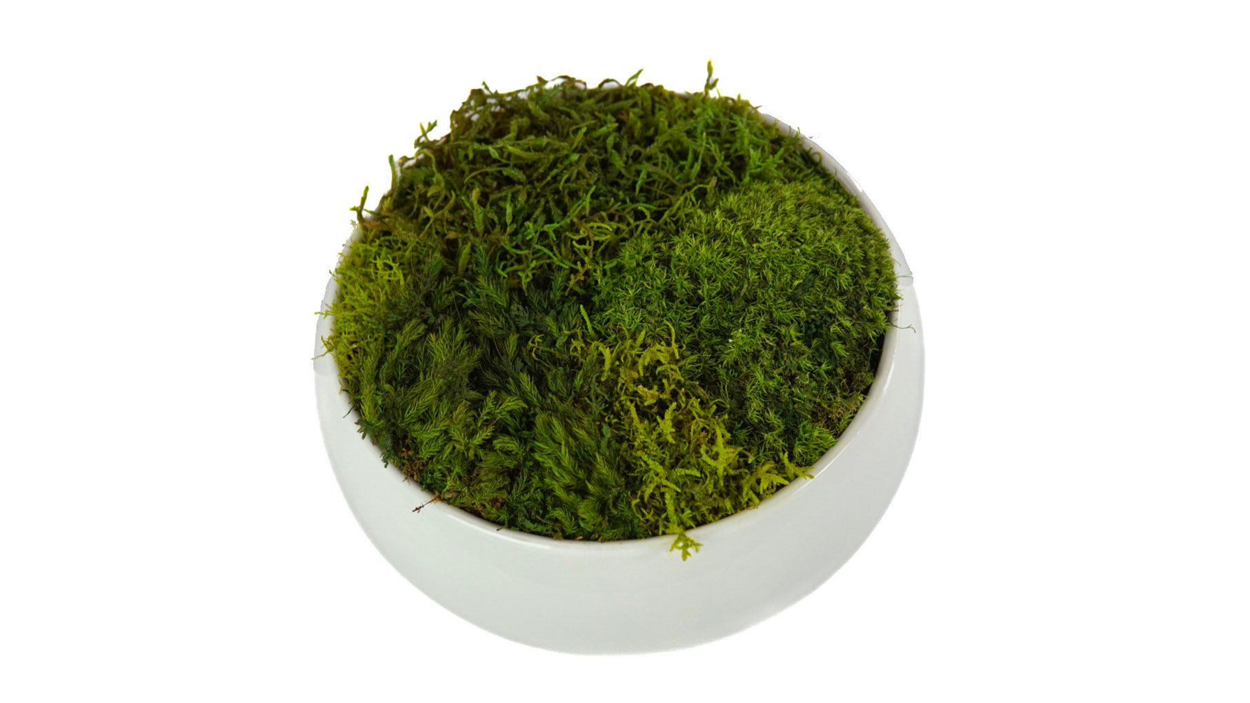 Cloud Moss Bowl I
