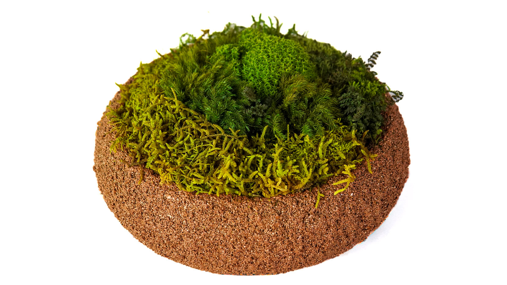 Moss Bowl Texturizado Cobre