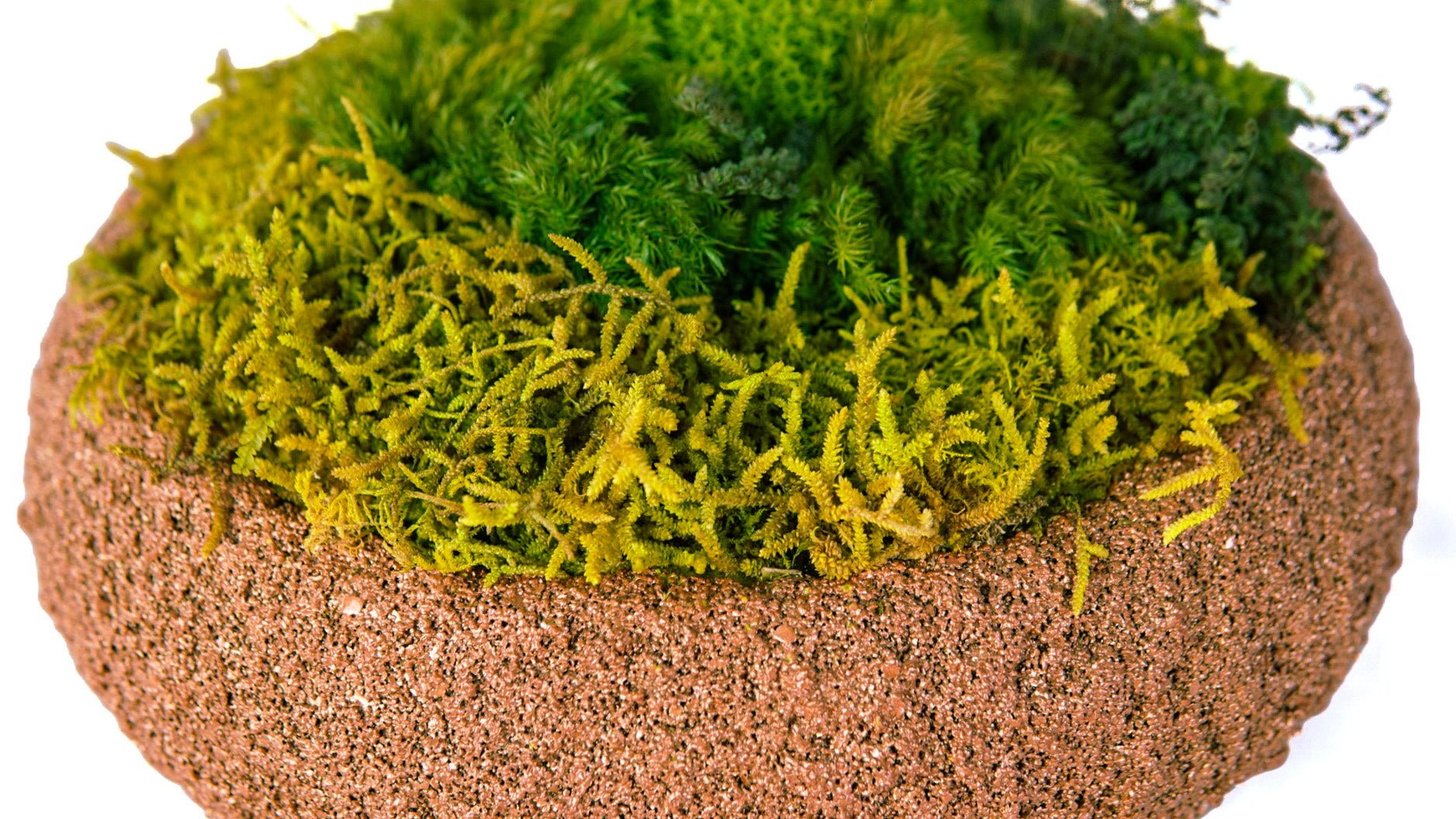 Moss Bowl Texturizado Cobre