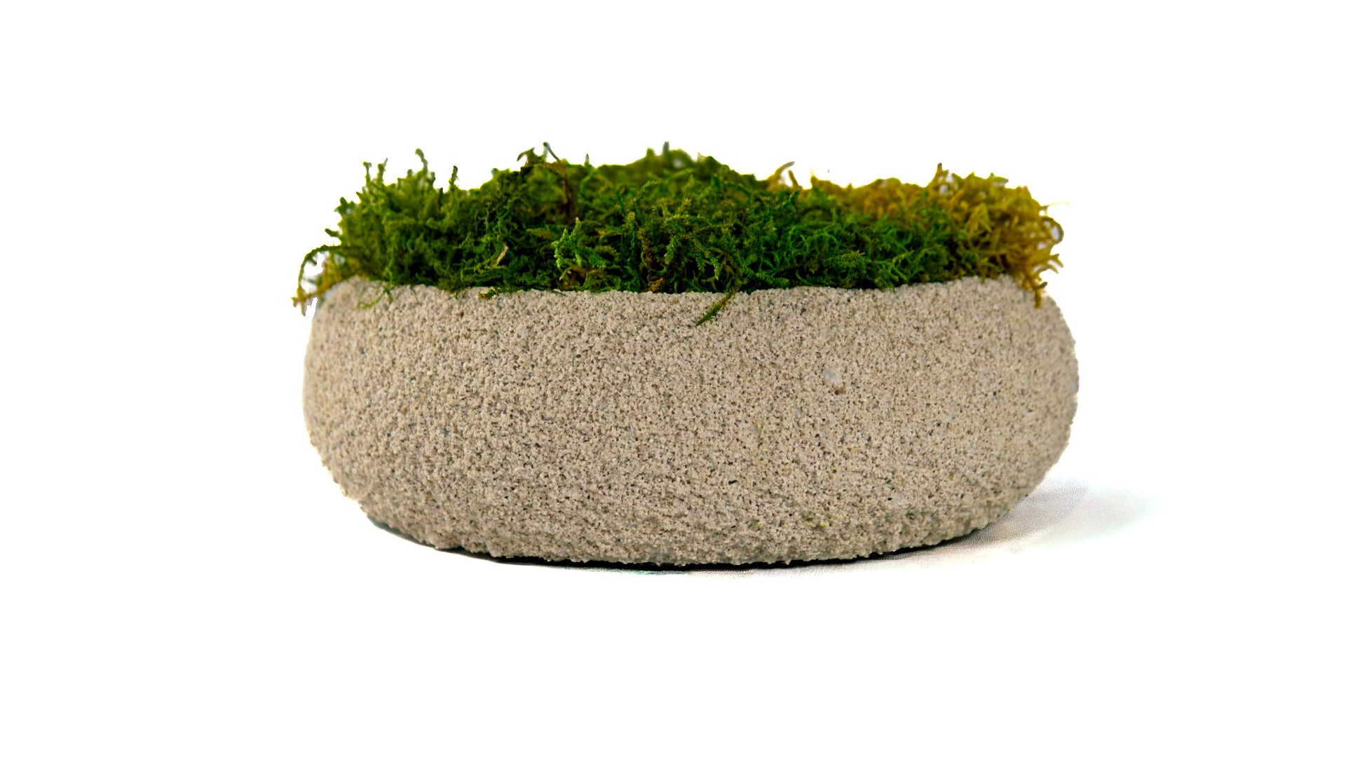 Moss Bowl Texturizado
