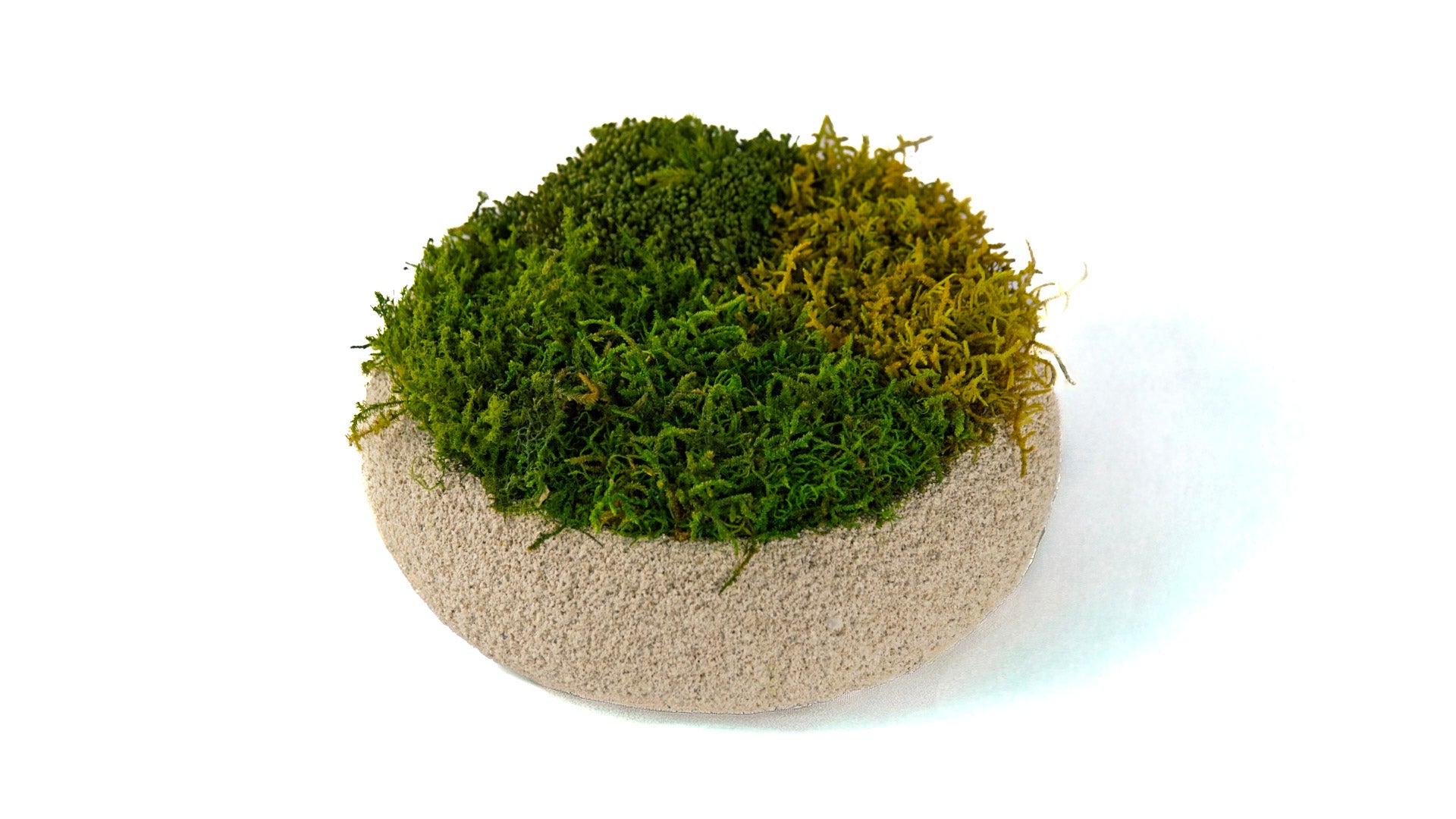 Moss Bowl Texturizado
