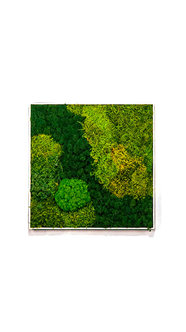 Quadro 50 x 50 Branco