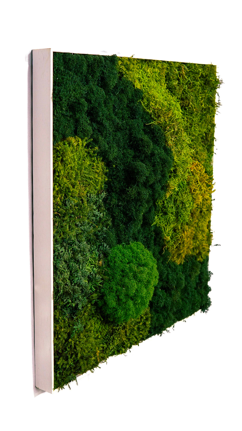 Quadro 50 x 50 Branco