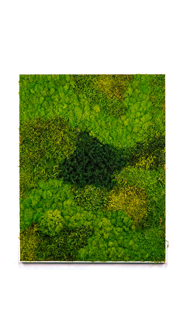 Quadro 90 x 70 Branco