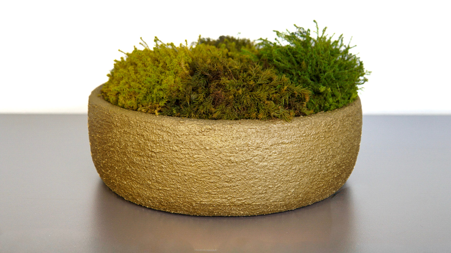 Golden Moss Bowl I