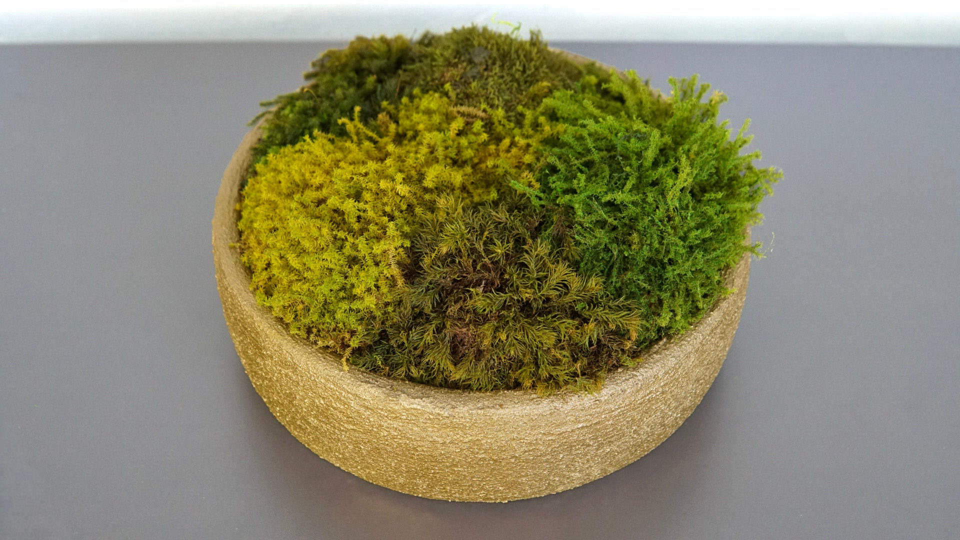 Golden Moss Bowl I