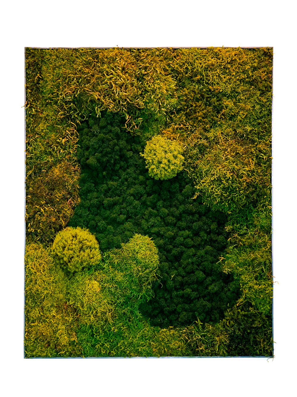 Quadro 0,80m (A) x 1,10m (L)