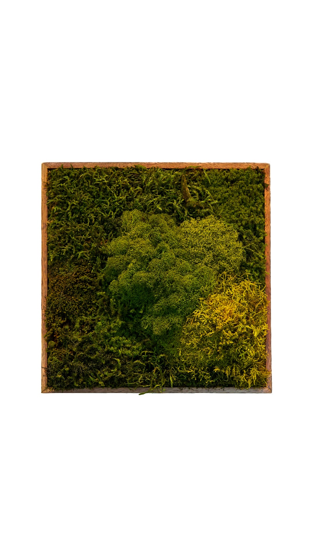Quadro 30 x 30 Natural