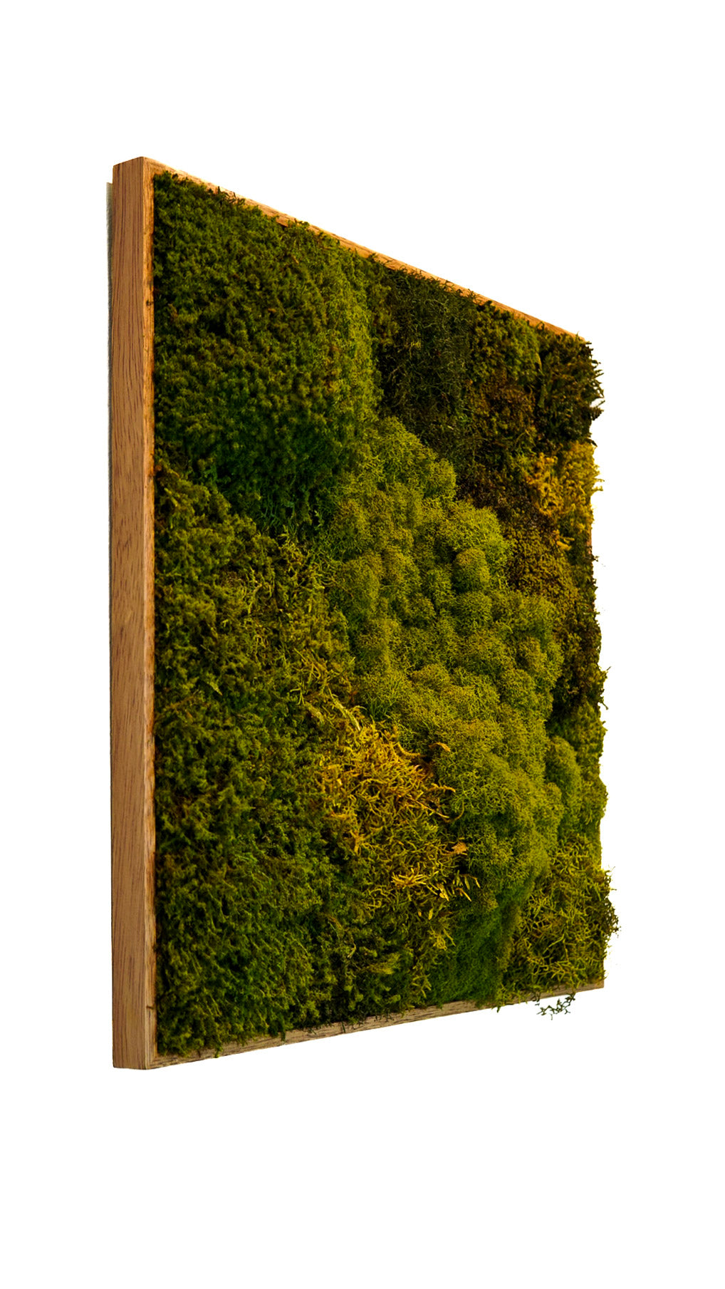 Quadro 50 x 50 Natural