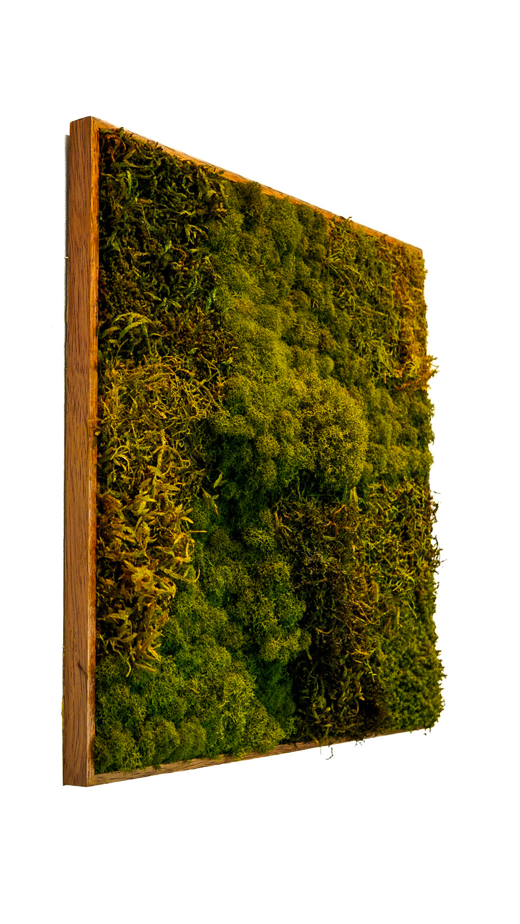 Quadro 50 x 50 Natural I(VENDIDO)