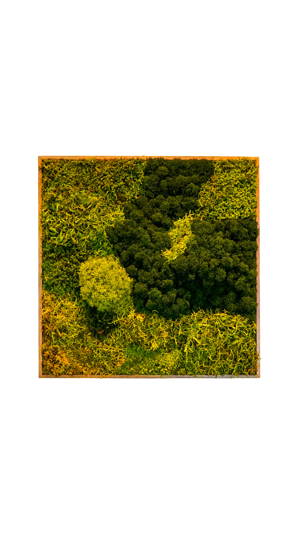 Quadro 50 x 50 Natural II