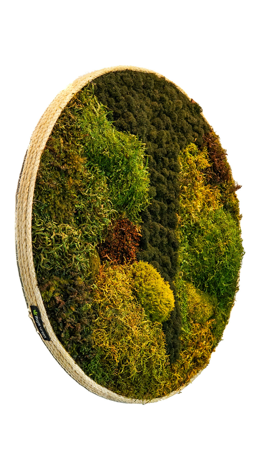 Quadro 82cm Fiber Bound