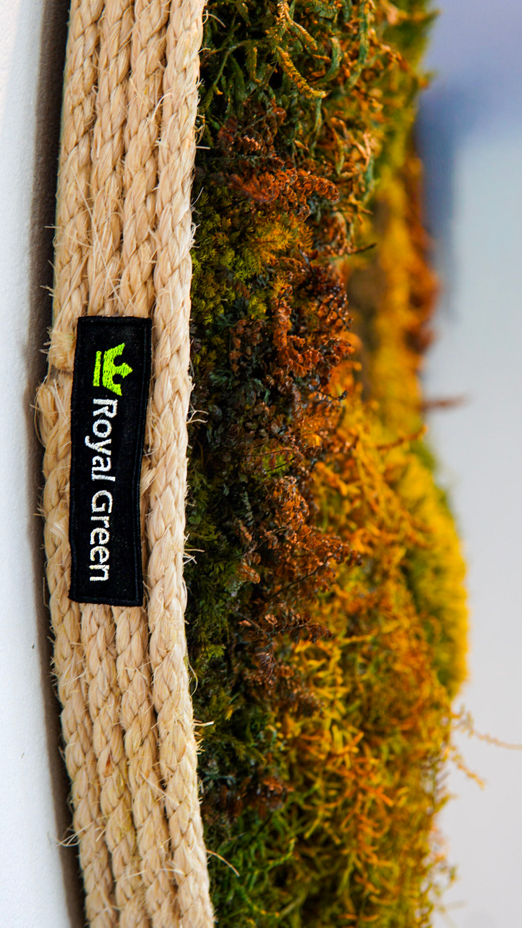 Quadro 82cm Fiber Bound