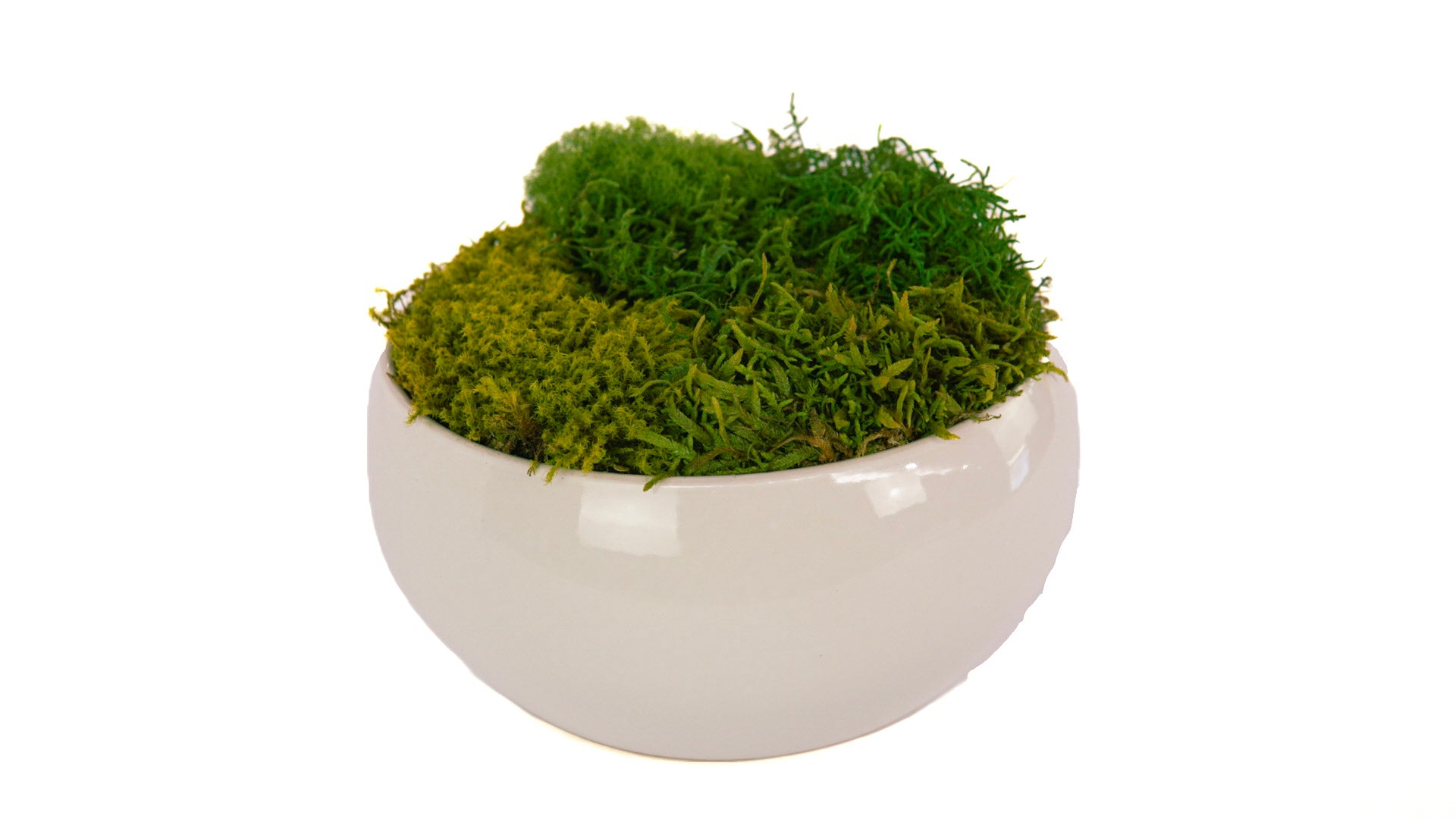 Cloud Moss Bowl