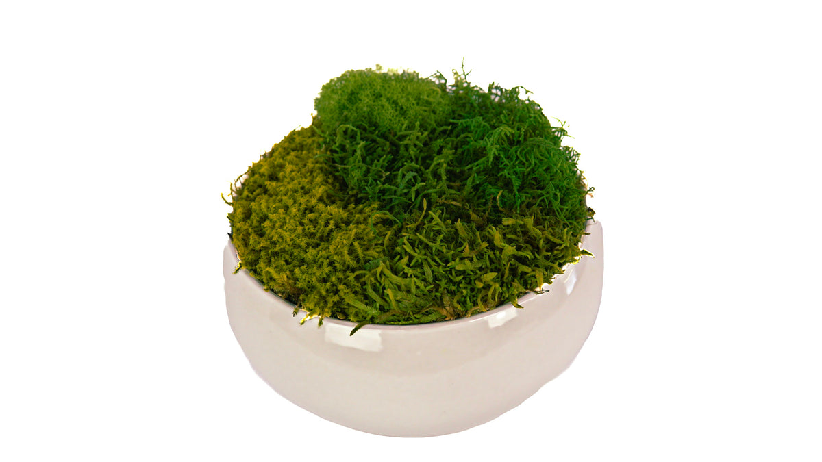 Cloud Moss Bowl