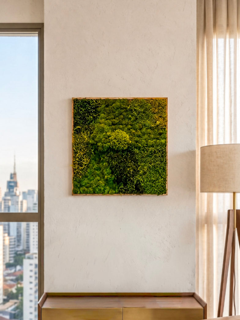 Quadro 50 x 50 Natural I(VENDIDO)